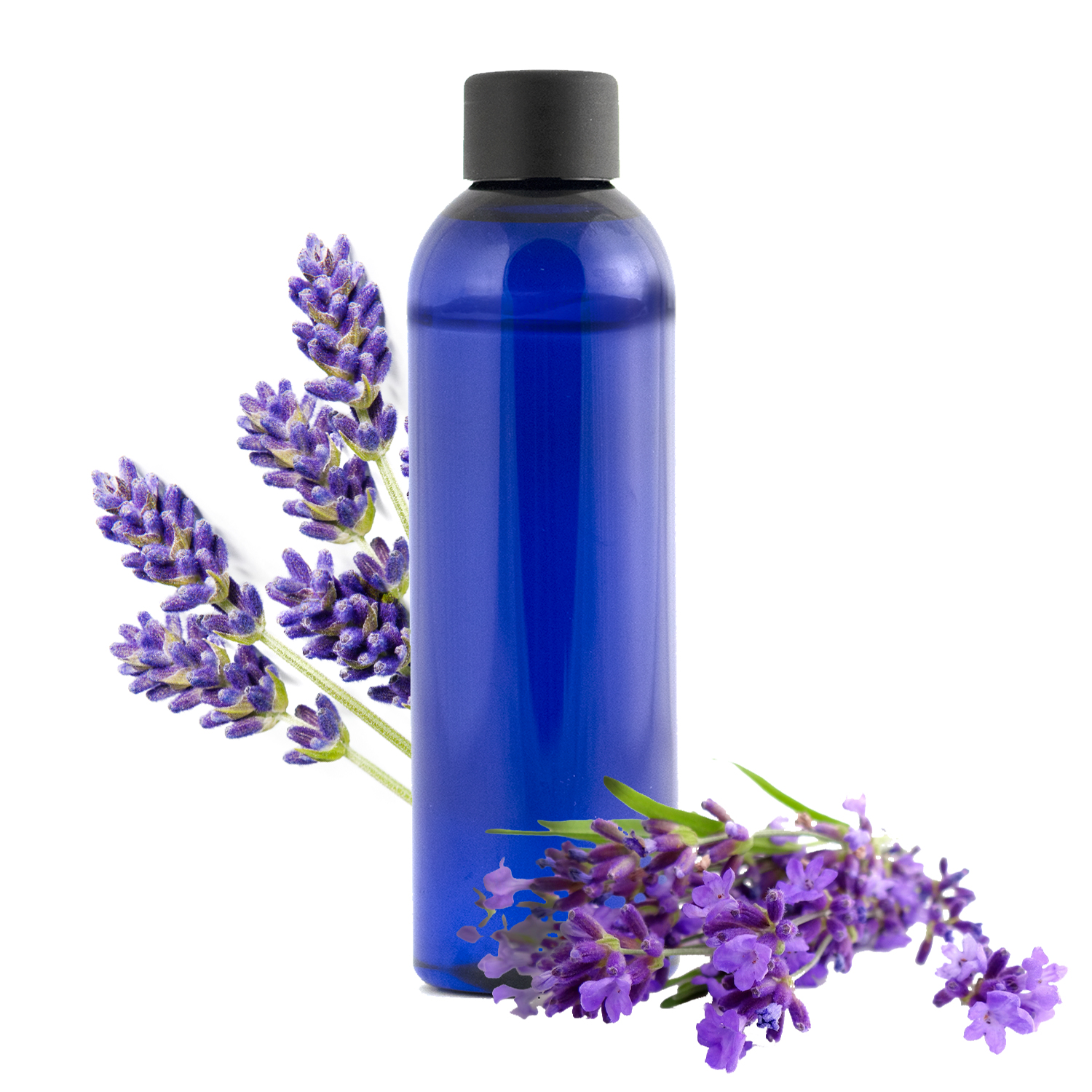 2023020995611_hy-lavande-officinale-jpg.jpeg