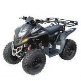 Dinli ATV 600 GT
