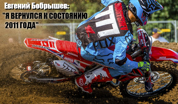 bobryshev-2015-1.png