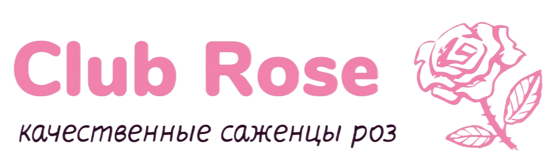 Club Rose