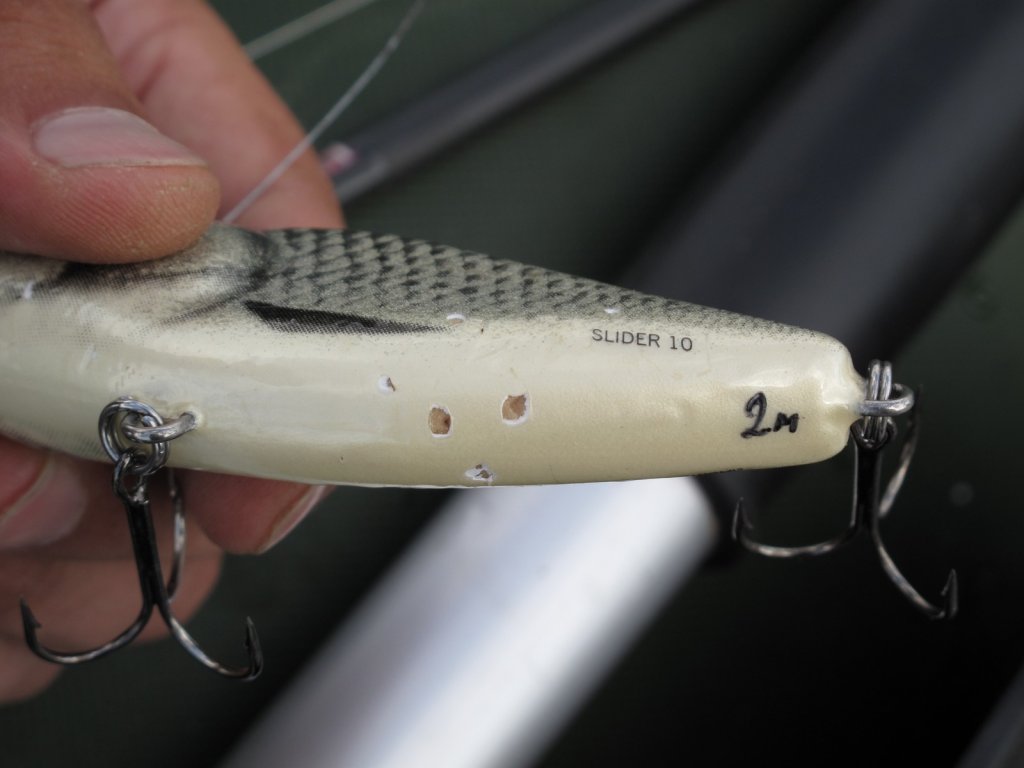 salmo_slider_10_so_sledami_zubov_schuki.jpg