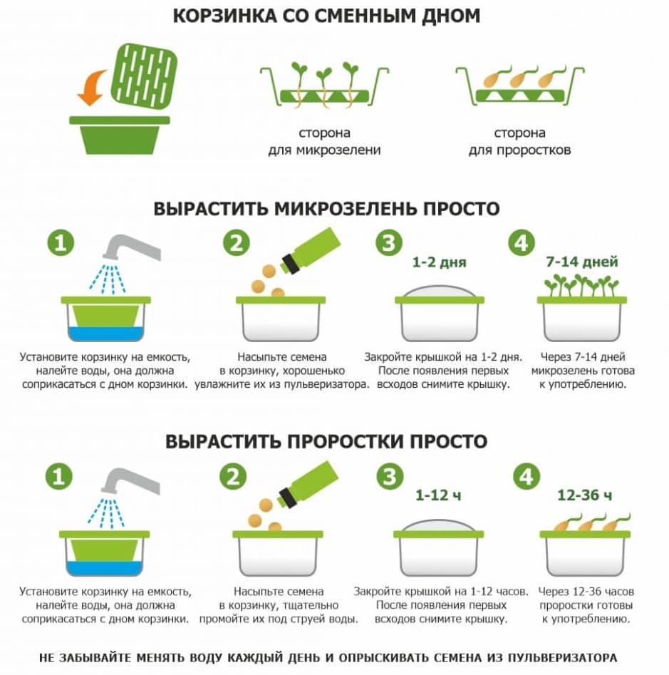 prorashchivatel-zdorovya-klad-moya-mikrozelen