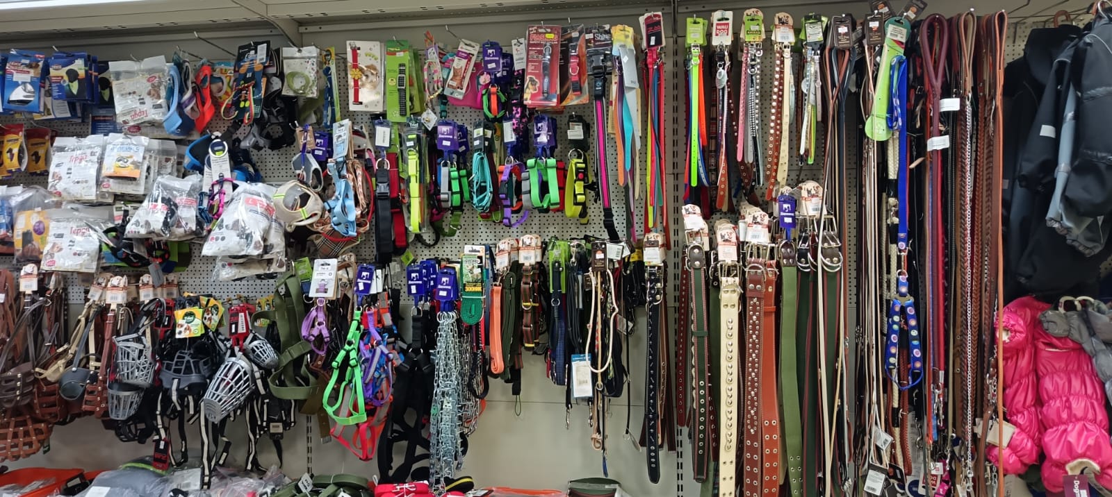 53bfde25-c7f9-4120-afc4-a7115dd8cb76 53bfde25-c7f9-4120-afc4-a7115dd8cb76.jpg