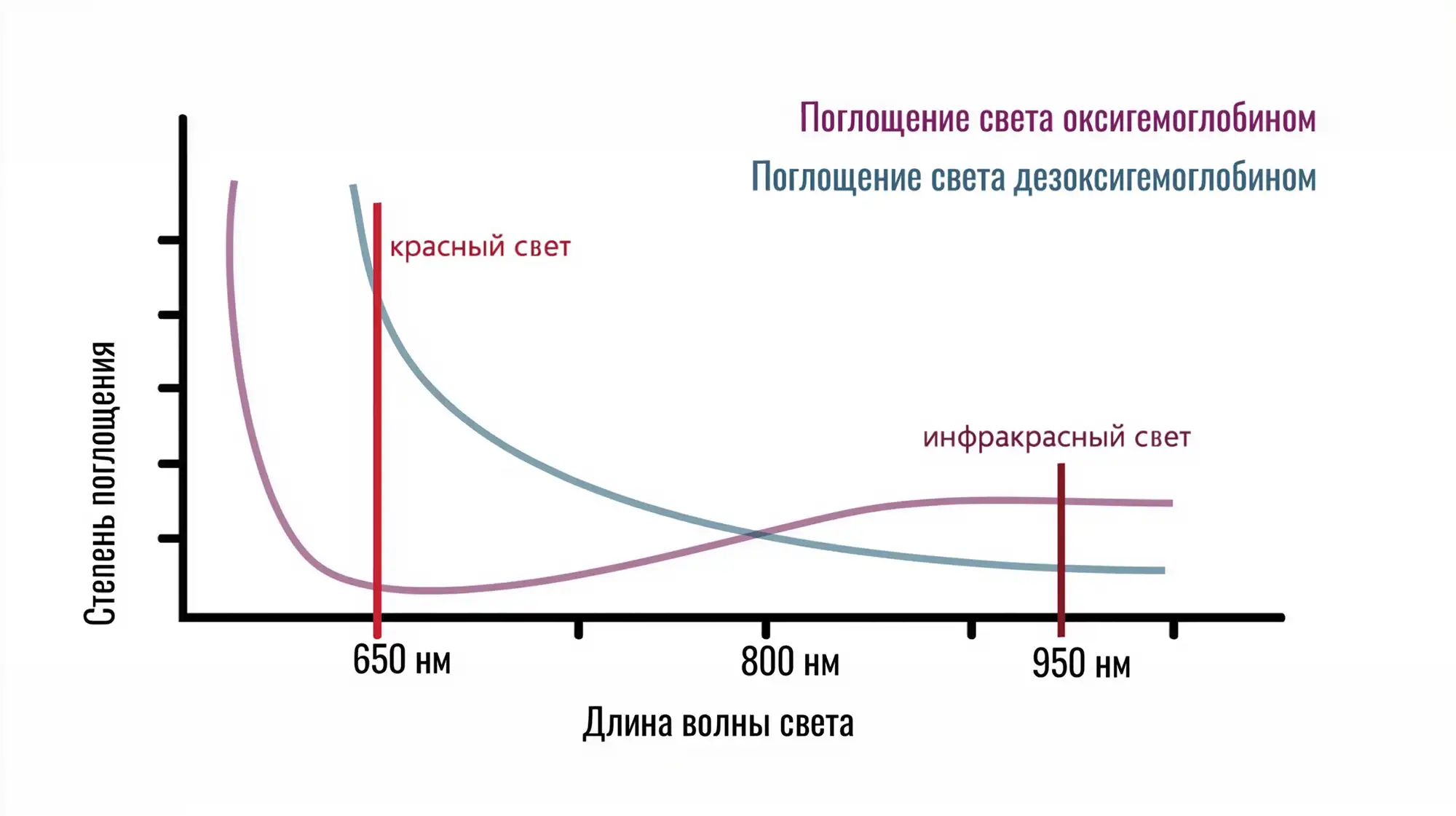 pulsoksimetriya Спектры света в пульсоксиметрии