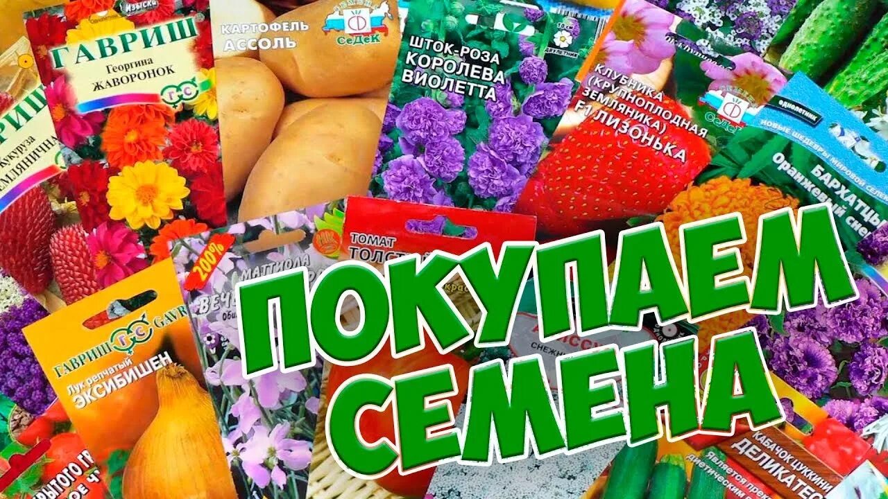 Магазин "СЕМЕНА" в Волосово