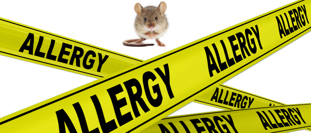 22 января 2020 2.png