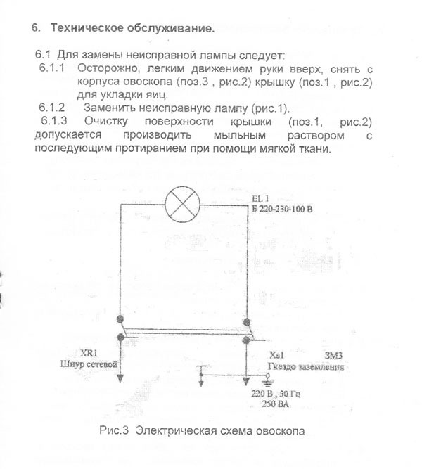 овоскоп-05.jpg