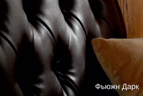 Фьюжн Дарк.jpg
