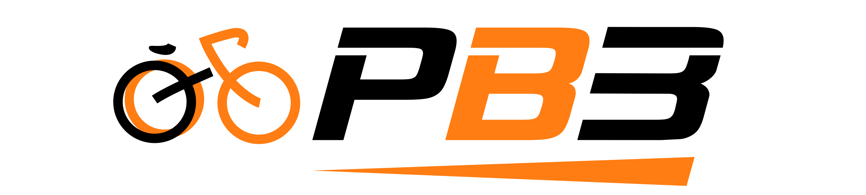 рвз logo wide.png