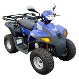 Dinli ATV 700 GT