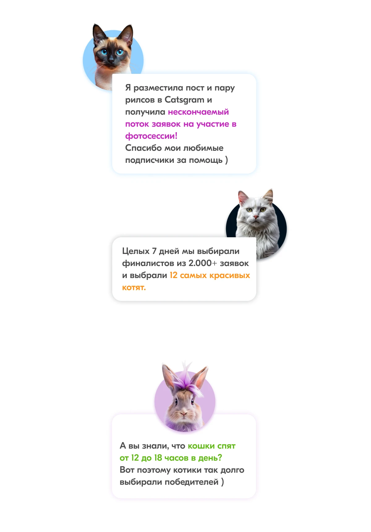 Карты Москвёнок CATS - Карту с красивым дизайном ребёнок не забудет взять в школу
