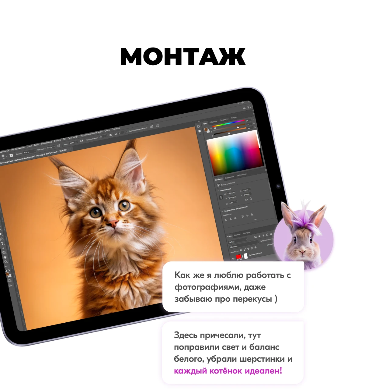 Карты Москвёнок CATS - Впишите номер школы в регистры для нумерации, чтобы при утери карту смогли вернуть в школу
