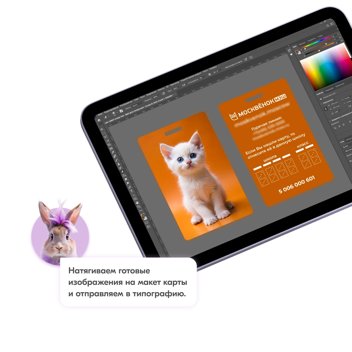 Карты Москвёнок CATS - Сделайте своему ребёнку красивый и практичный подарок, которым он будет пользоваться каждый день