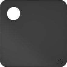 BS