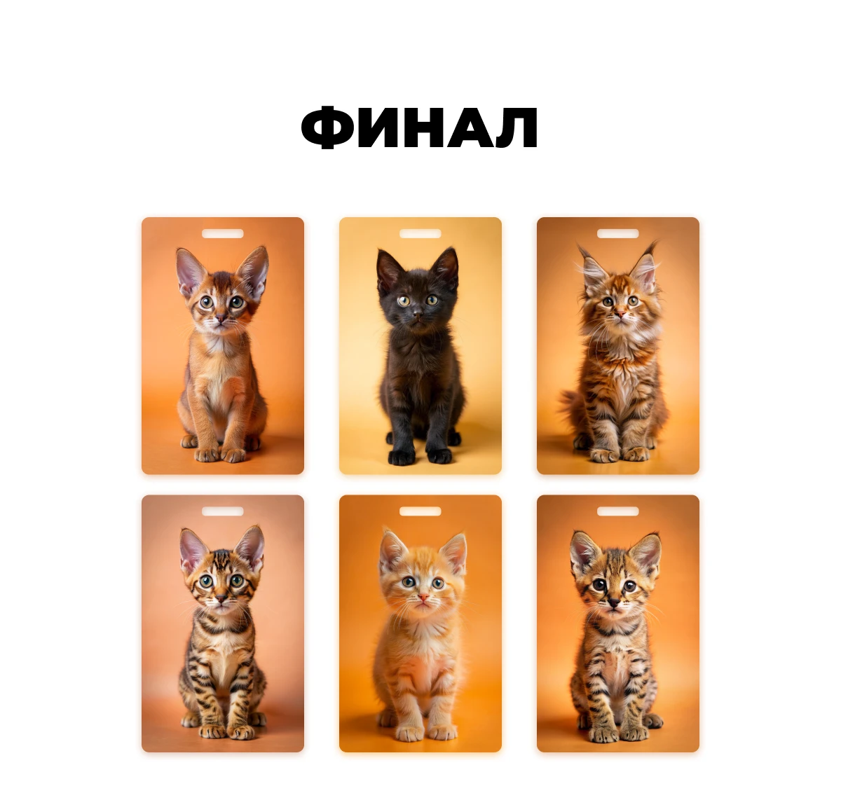 Карты Москвёнок CATS - Карта CATS может заменить читательский билет  и открыть бесплатный проход в московские музеи