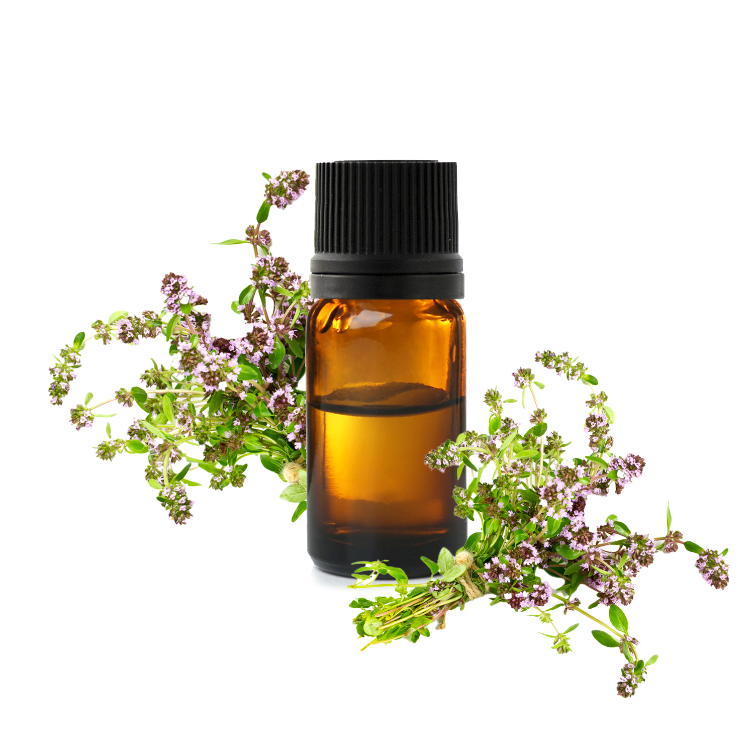 тимьян с л.jfif