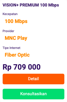 Vision+ Premium 30 Mbps MNC Play