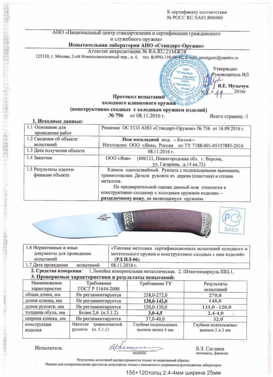 бизон бизон.jpg