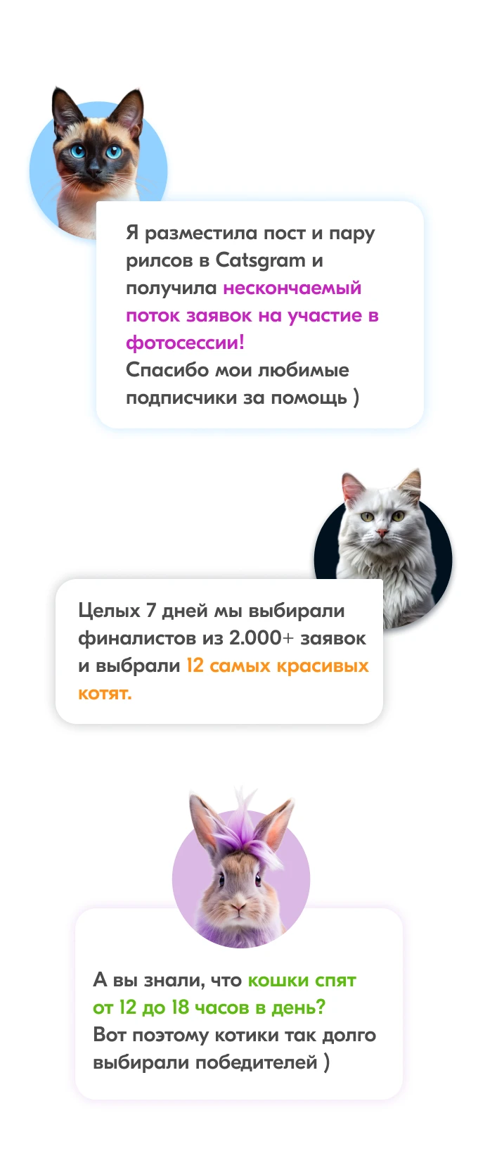 Карты Москвёнок CATS - Карту с красивым дизайном ребёнок не забудет взять в школу