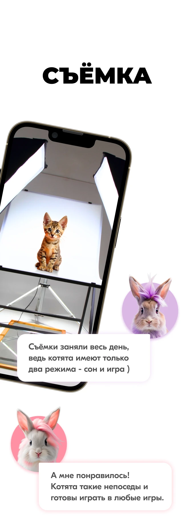 Карты Москвёнок CATS - Удобное отверстие для крепления к ретрактору или ленте без чехлов и громоздких кармашков