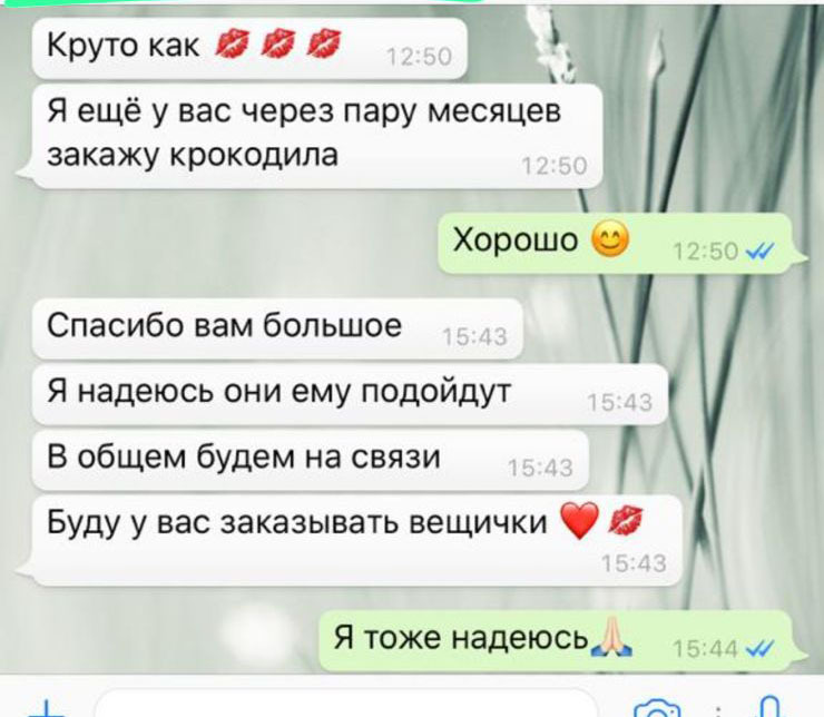 Слайд 3
