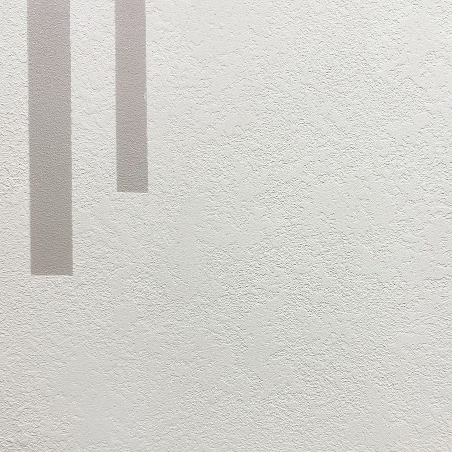 Карта мира (TEXTURA)