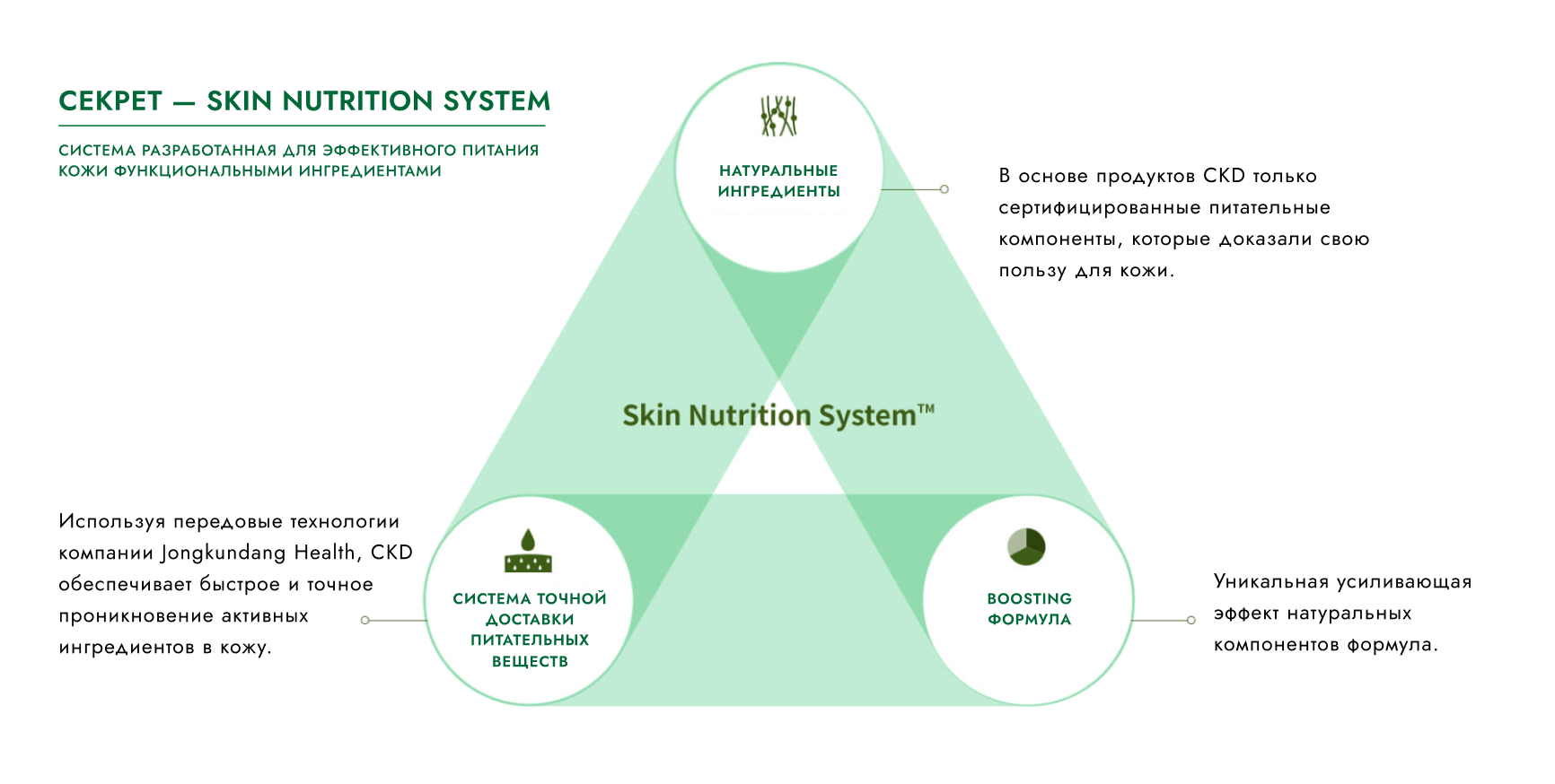 СЕКРЕТ — SKIN NUTRITION SYSTEM.png