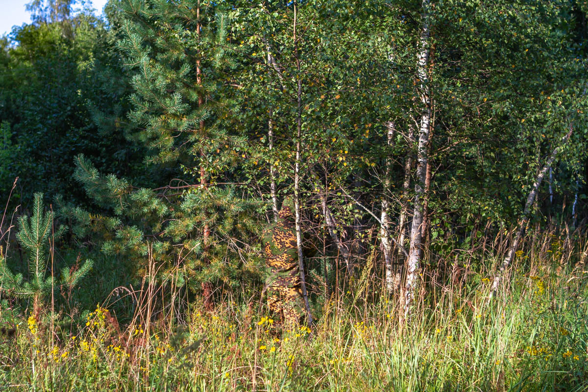Маскхалат Партизан летний как выглядит в лесу