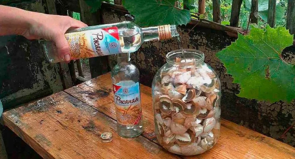 Настойка на алкоголе из веселки