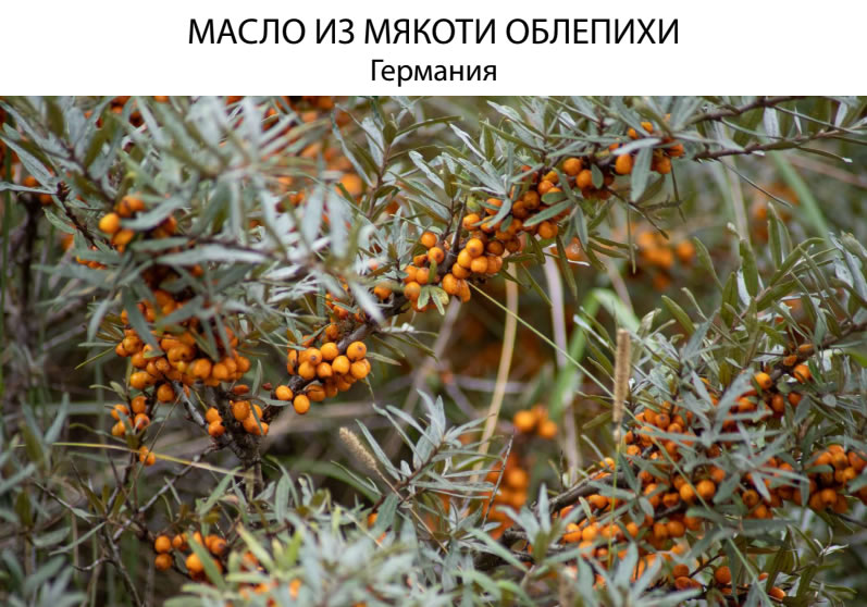 Масло Уход и восстановление Just 40 мл для лечения шрамов, рубцов и растяжек