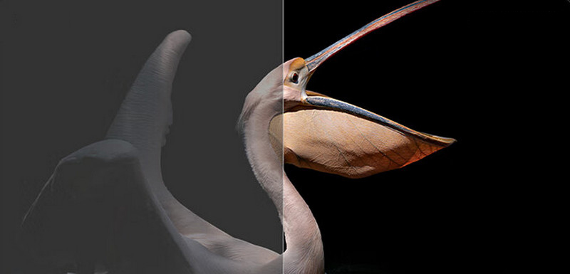 Телевизор Xiaomi TV S Pro 65 Mini LED 240Hz (2025)-описание-7.jpg