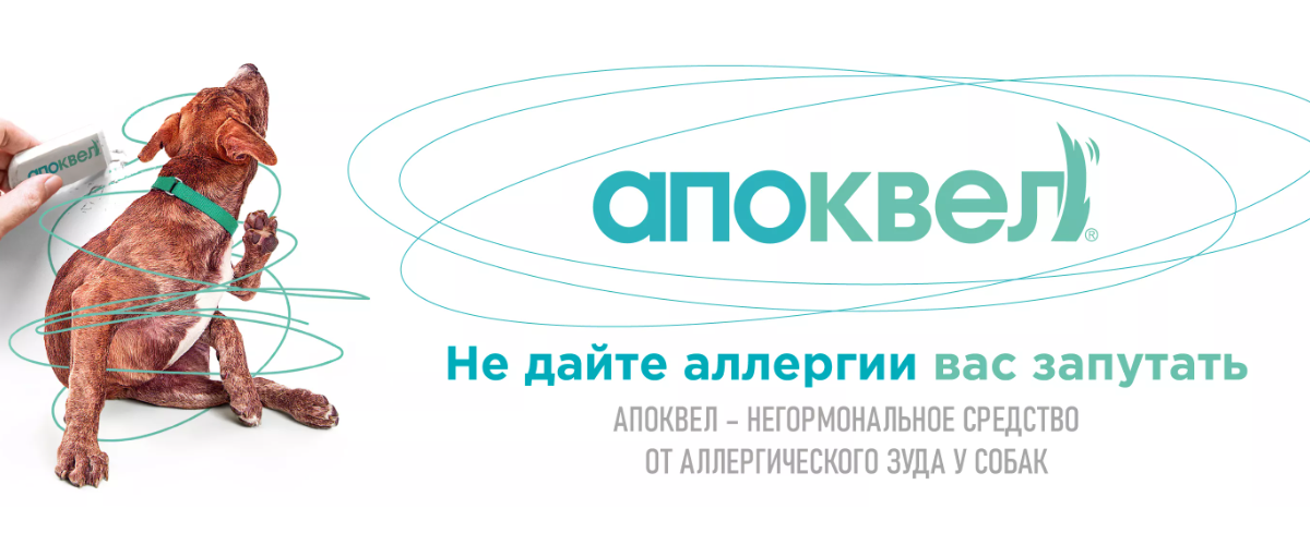 Слайдер Блок 3
