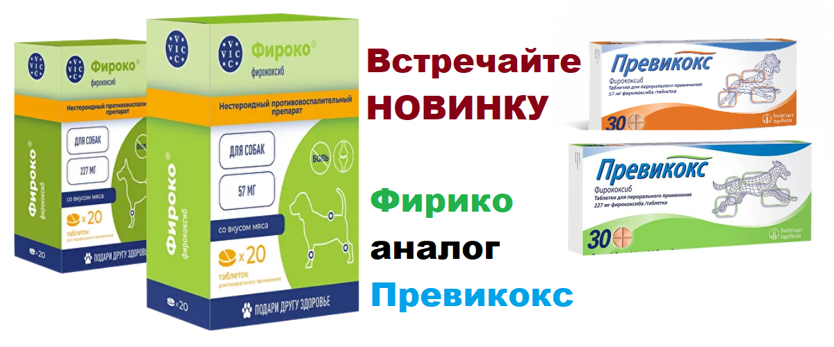 Слайдер Блок 4