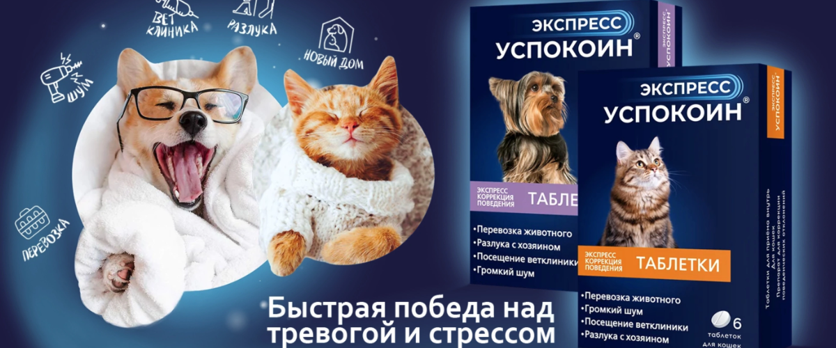 Слайдер Блок 2