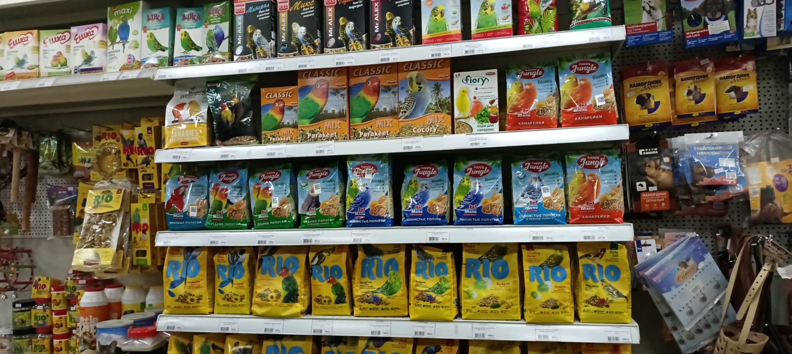 13a6a45e-0d57-4aae-b88f-26e8aed5c955 13a6a45e-0d57-4aae-b88f-26e8aed5c955.jpg