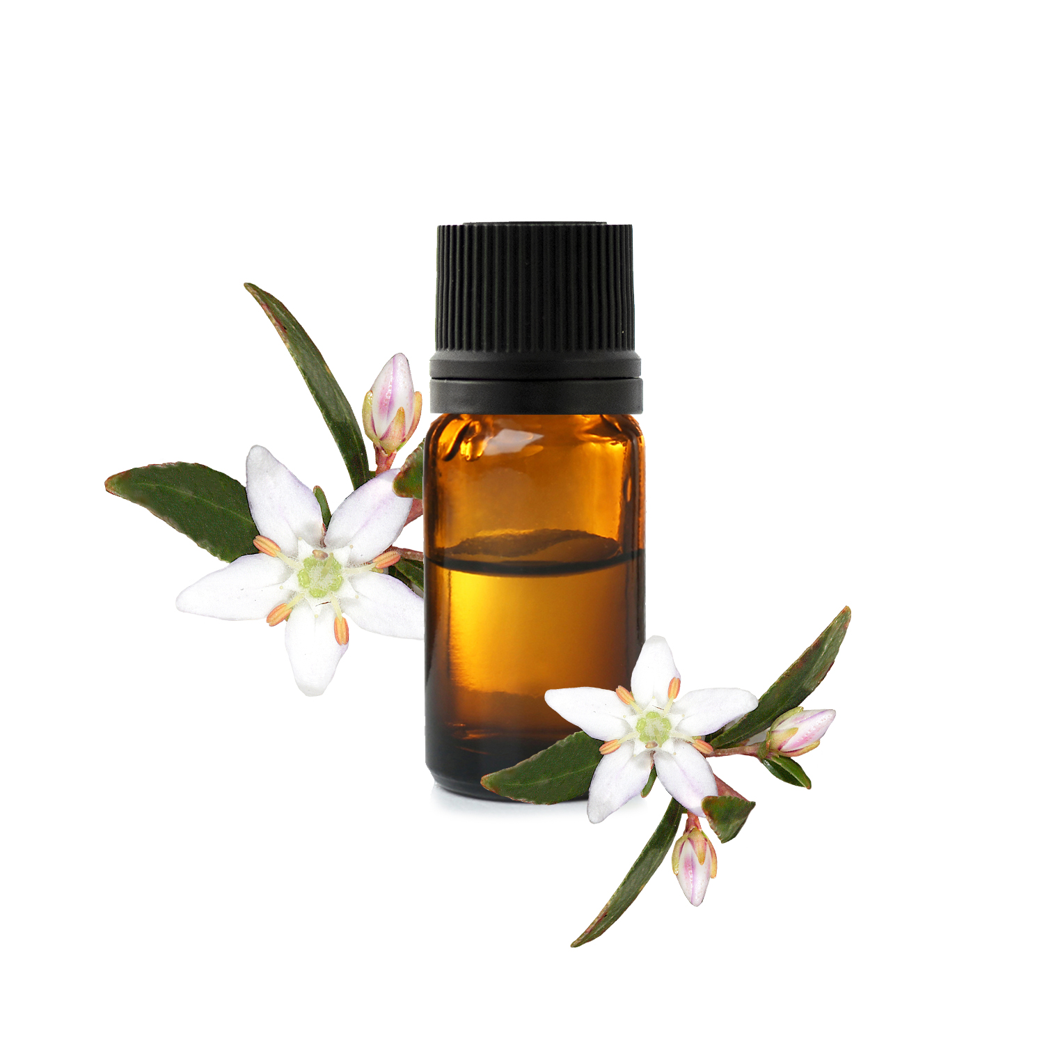 бучу бучу.jfif