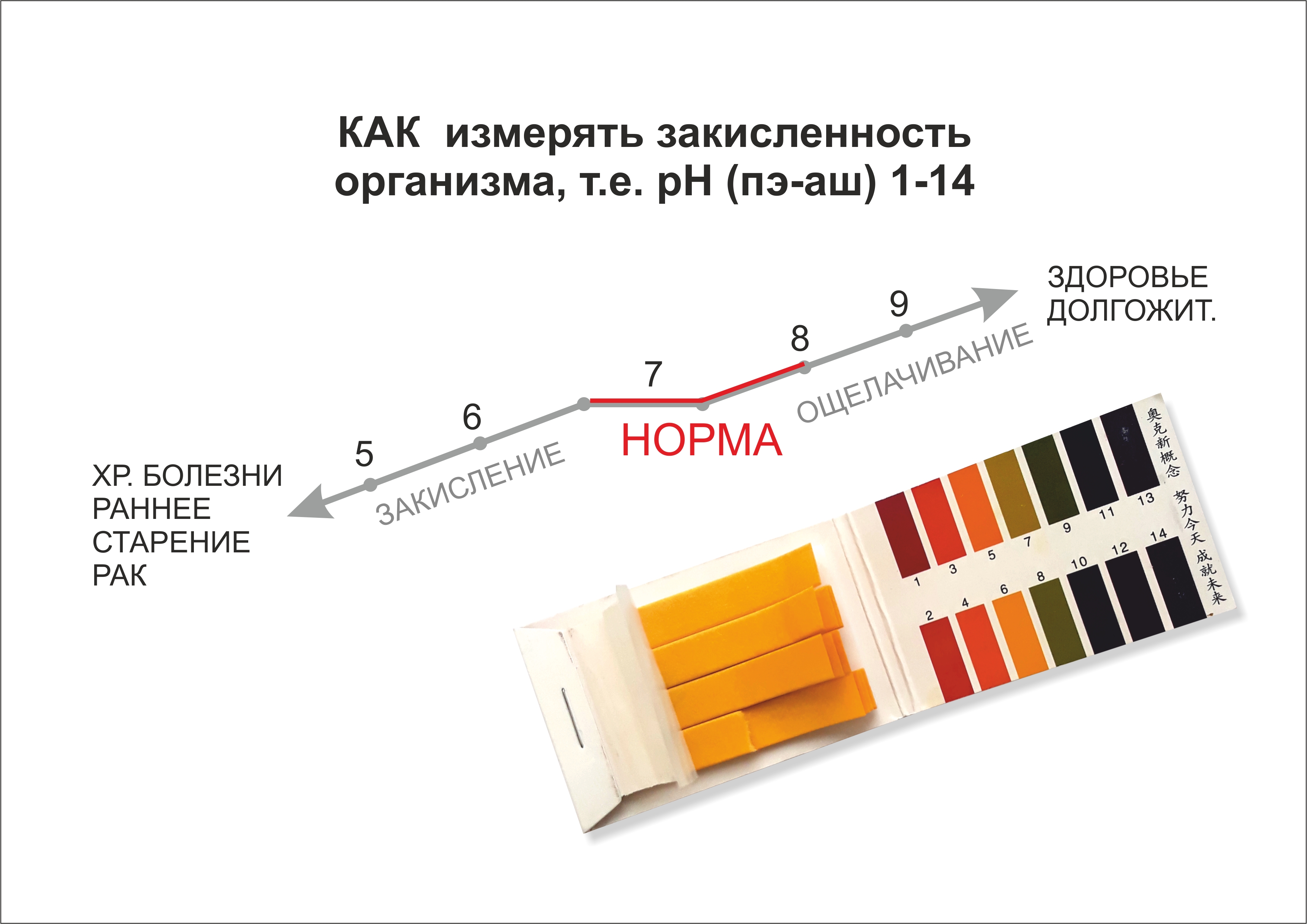 вставка.jpg