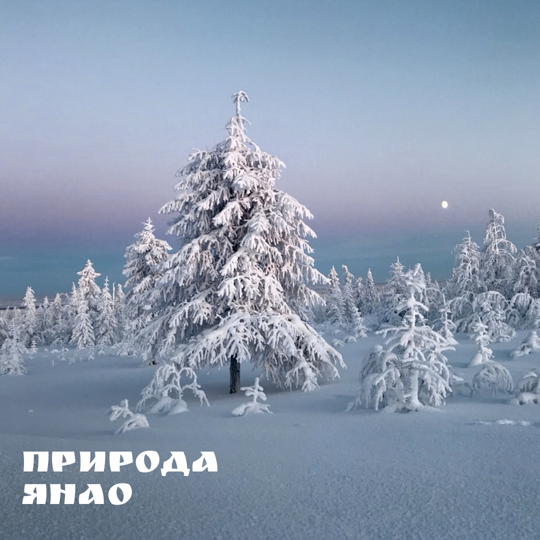 пост 21.jpg