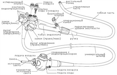 stroenie_endoskopa_011.png