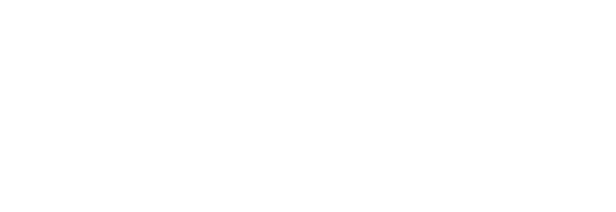Erzdorf Consulting Agency