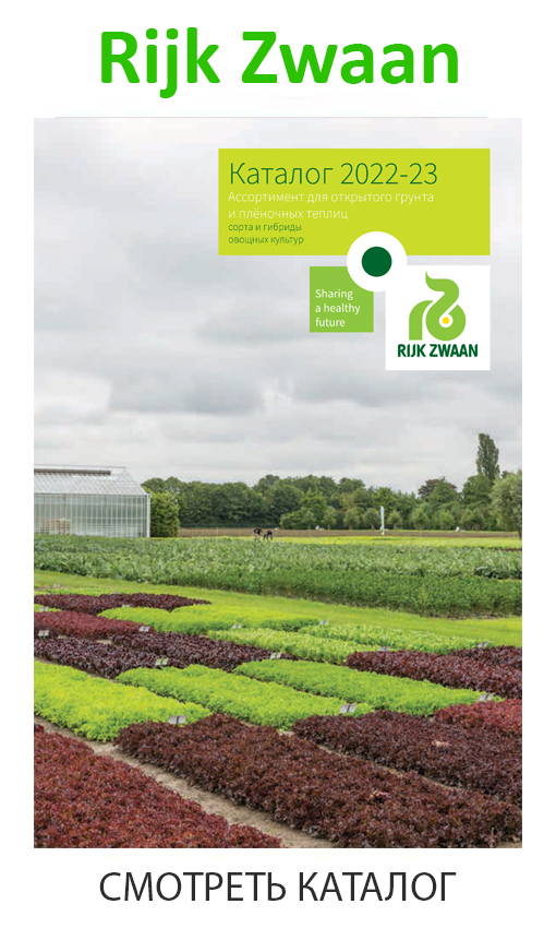 rijk_zwaan_каталог_для_отк_грунта_2023.jpg