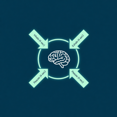 <img src="box-breathing-stress-relief.jpg" alt="Box breathing technique 4x4 for immediate stress relief">