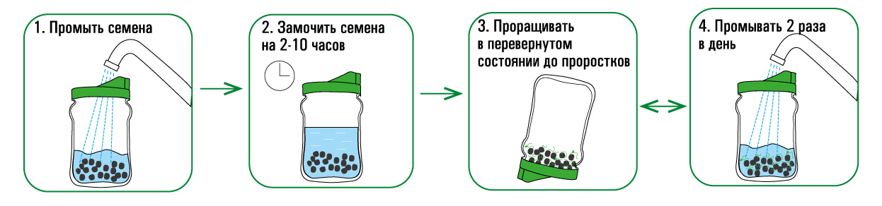 На сколько часов замачивать