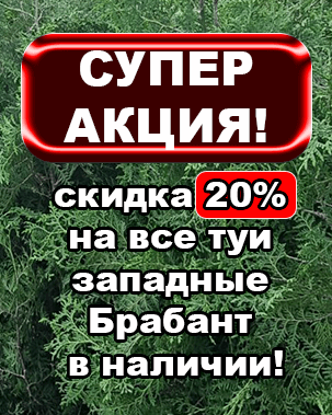 aktsiya-lapnic