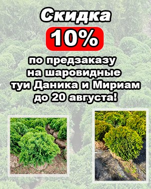 aktsiya-lapnic