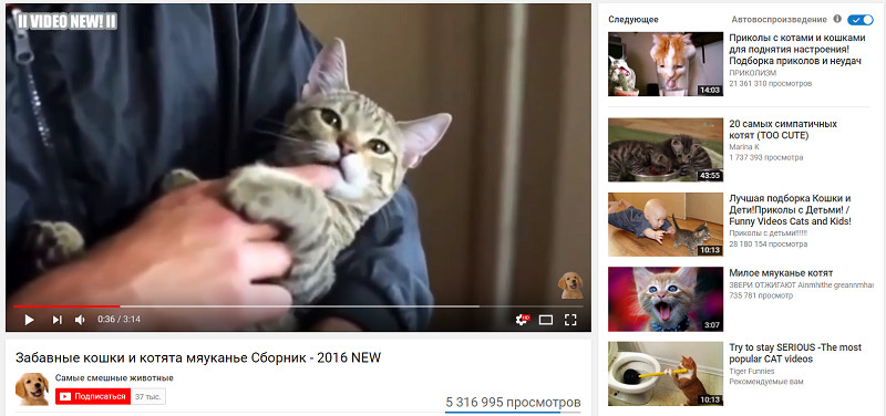 Нейросеть что это