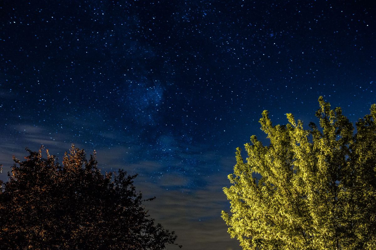 Ночные ли. Серое ночное небо. Фото звёзд на небе. Звездное небо Сток фото. Космическое дерево фото.