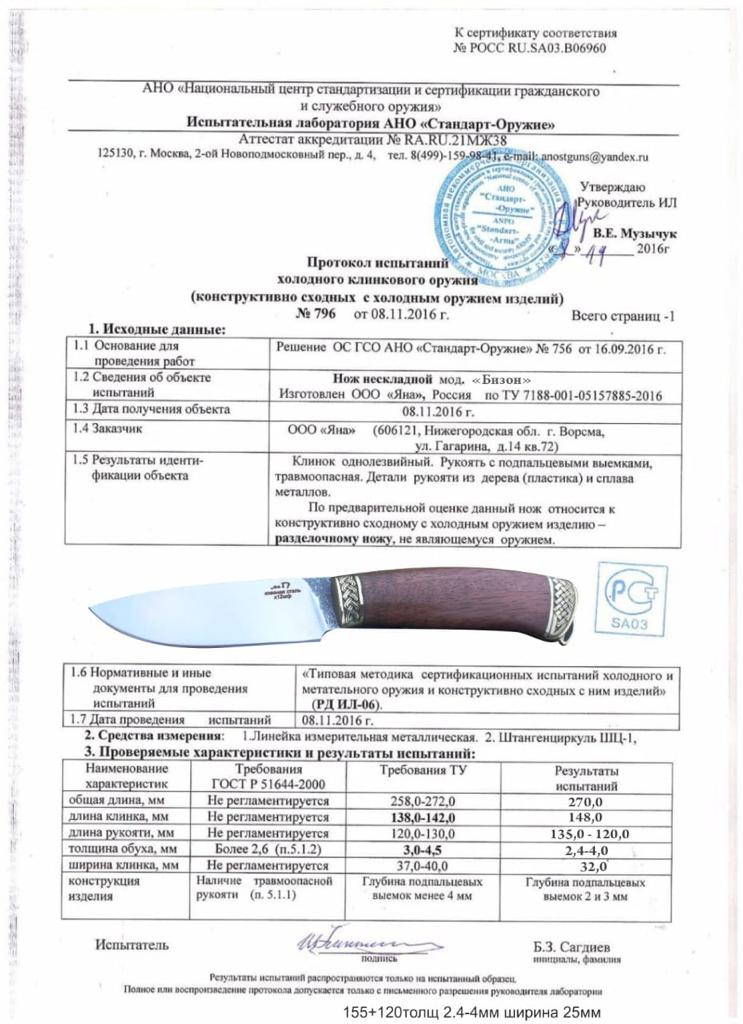 Бизон Бизон.jpeg