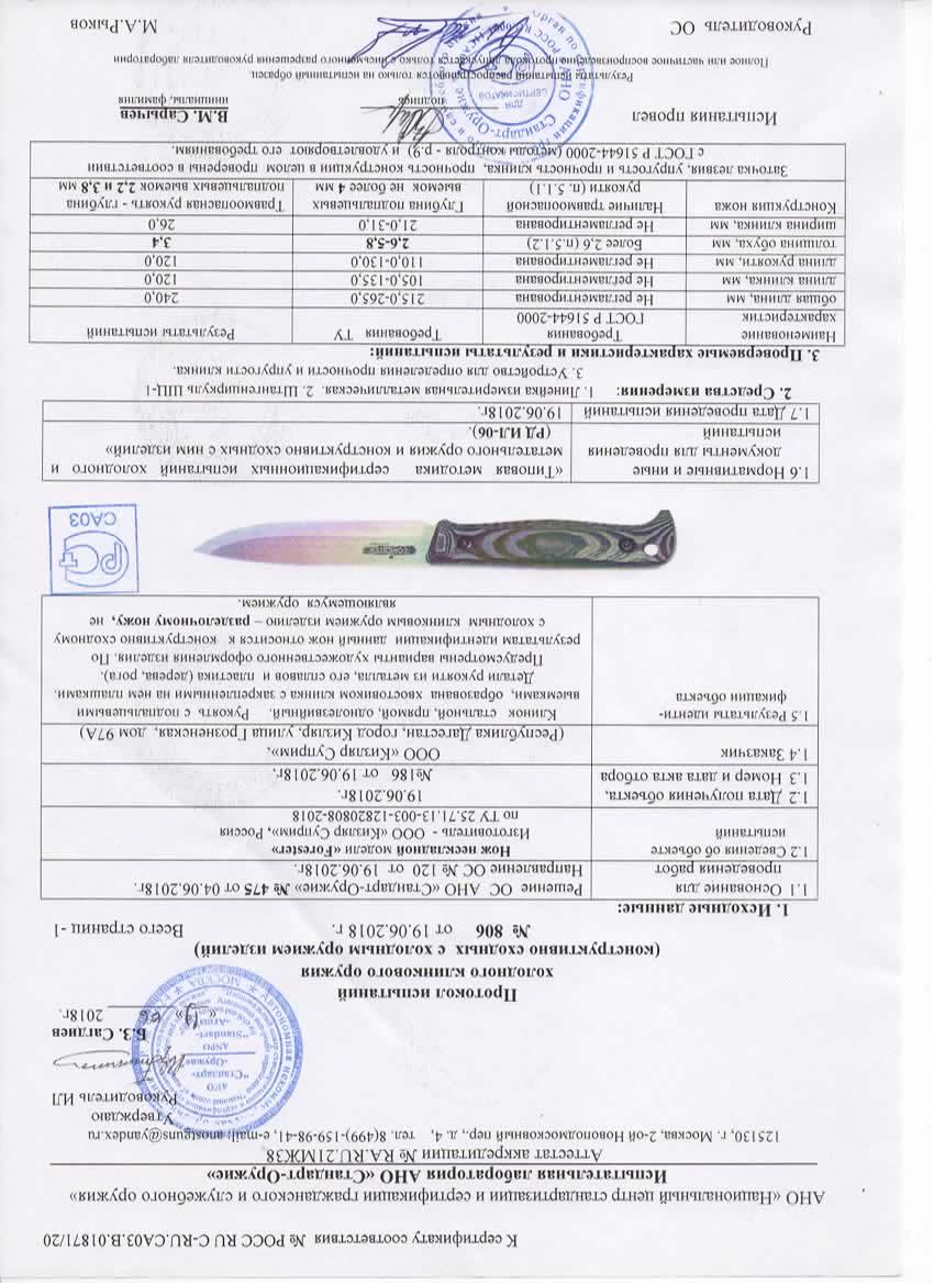 forester.jpg