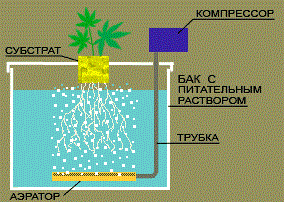 Как сделать питательный раствор для выращивания клубники - гидропоника